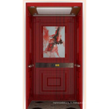 Dsk Passenger Elevator Personal with Competitive Price